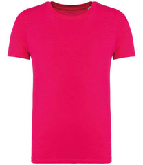 NS307 Raspberry Sorbet Front