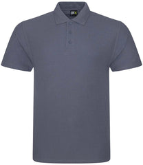 Glastonbury Abbey Polo
