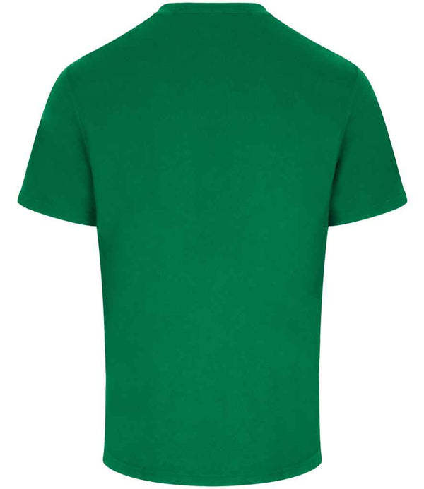 RX151 Kelly Green Back