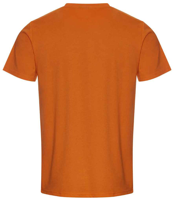 RX151 Orange Back