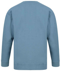 SF530 Stone Blue Back